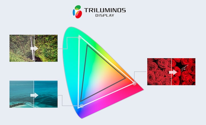 Triluminos Display