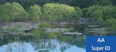 Example image showing lakeside scene with trees growing out of the lake, and foliage reflected on the water