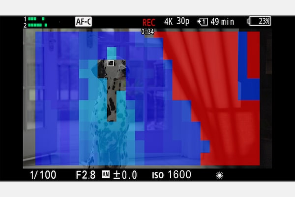 Camera monitor with Focus Map colours indicating depth of field