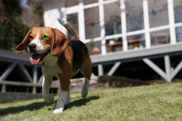 Tracking animals on the move