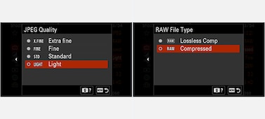 Camera LCD display screen: RAW Image selection screen Camera LCD display screen: JPEG quality selection screen