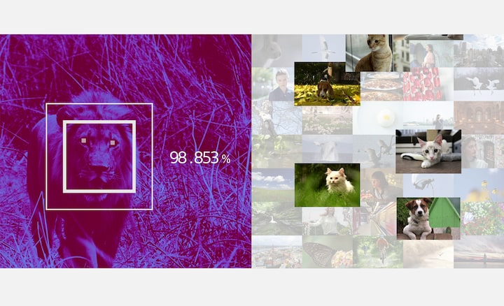 Real-time Eye AF now supports animal-eye autofocus