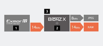 Diagram showing data flow from Exmor R sensor to front-end LSI and BIONZ X image processor, with JPEG and RAW outputs