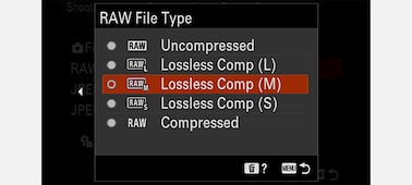 Product image showing "RAW file type" camera menu with "Lossless Comp (M)" selected