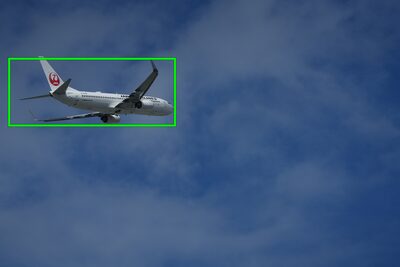 Example image showing subject type (air plane) recognisable by the camera’s AI